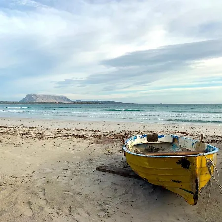 Camping San Teodoro La Cinta *
